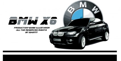 BMW x 6