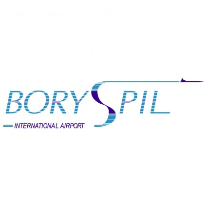 boryspol 공항