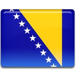 ボスニアおよびヘルツェゴビナの旗