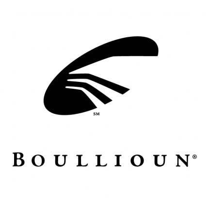 Boullioun Aviation services