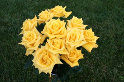Strauss aus gelben Rosen