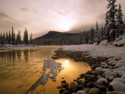 лук река и фотографии Зимняя природа