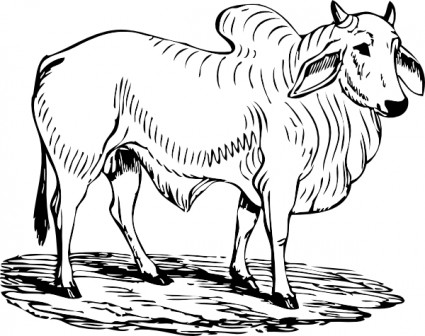 clipart de Brahma bull