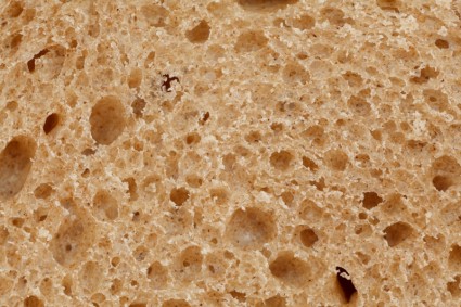 Brot-Textur