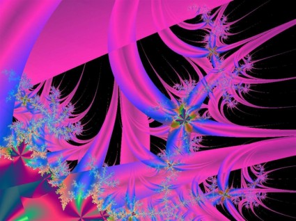 fractal rose vif