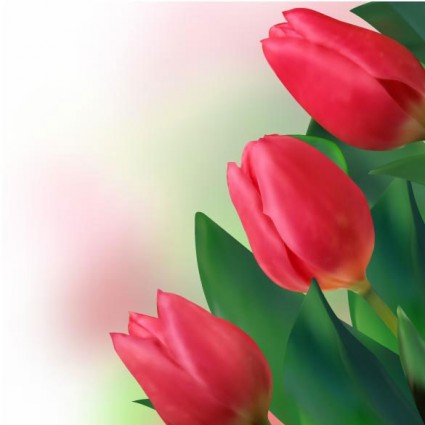vecteur de tulipes lumineuses