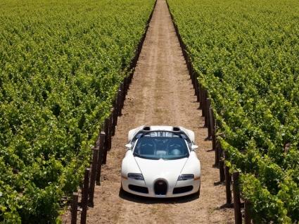 voitures de bugatti Bugatti veyron wallpaper