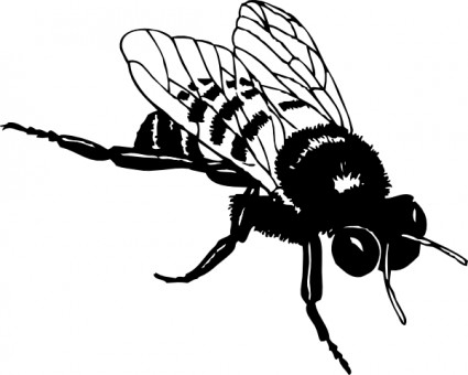 Bumble-Bee-ClipArt-Grafik