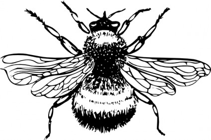 نحلة قصاصة فنية