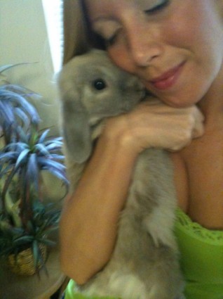 Кролик любви