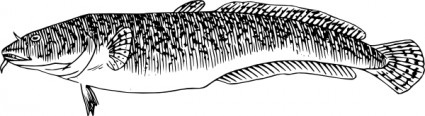 カワミンタイ魚のクリップアート