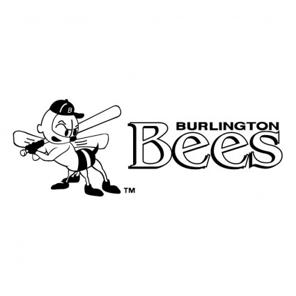 Burlington lebah