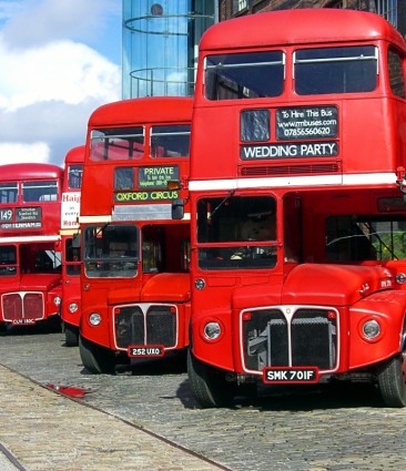 Bus transport pojazdu