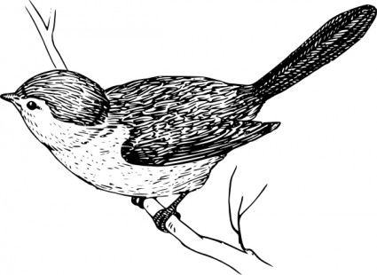 Hummingbird clip art