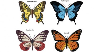 free vector de borboletas