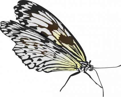papillon clipart