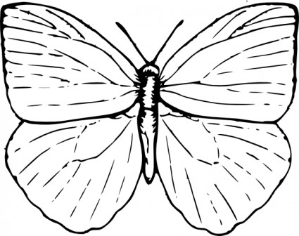 borboleta clip-art