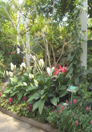 バタフライ ガーデン