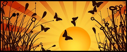 borboleta no pôr do sol