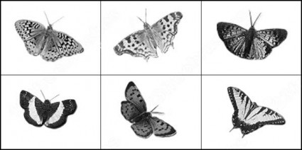 蝶の photoshop のブラシ