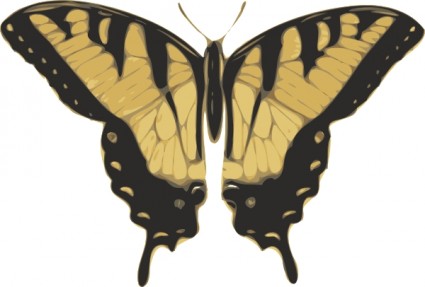 mariposa vista superior clip art