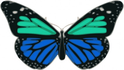 蝴蝶綠松石藍