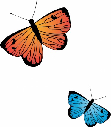 vector de mariposa