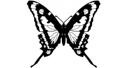 vecteur de papillon