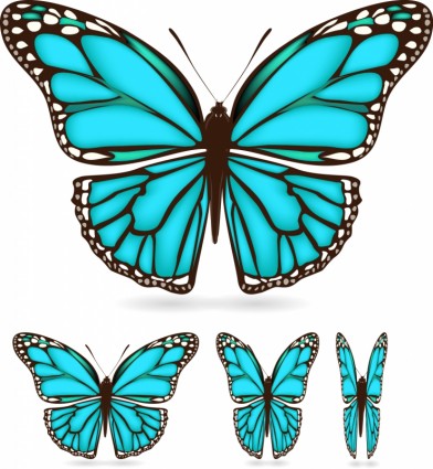 蝴蝶的翅膀圖案向量