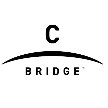 c мост