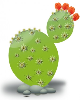 Kaktus clip art