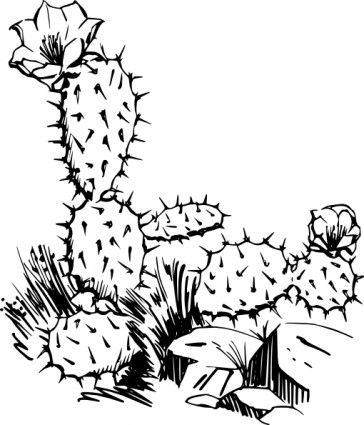 kaktus clipart