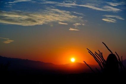 Kaktus-Sonnenaufgang