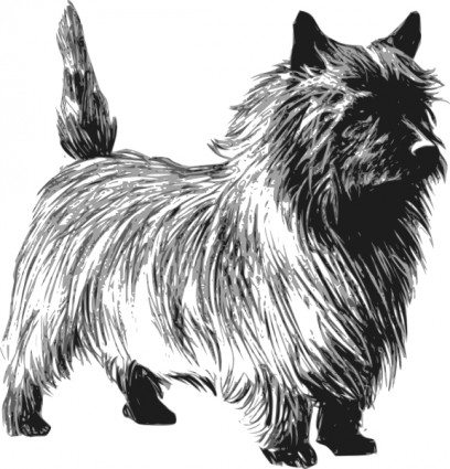 Cairn terrier clip-art
