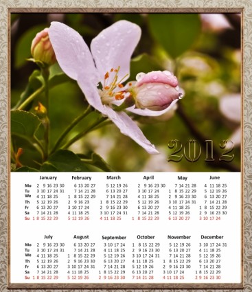 Kalender für