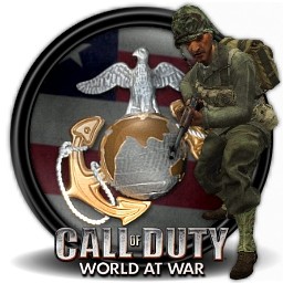 Call of duty world at war