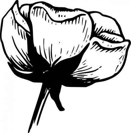Cálice de um clip-art flor