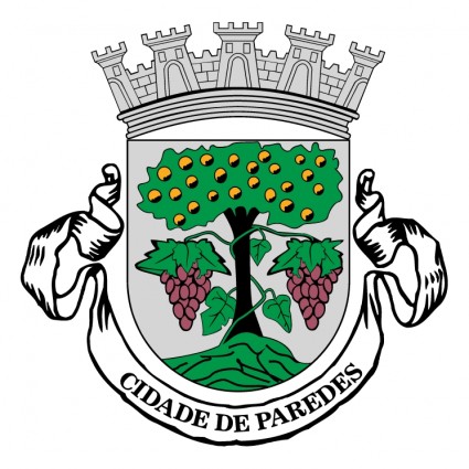 Camara Municipal De Paredes