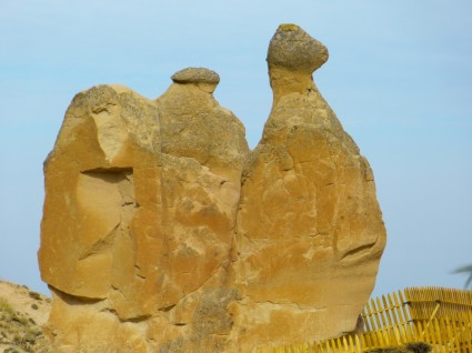 camello tufa de Capadocia