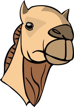 camello cabeza clip art