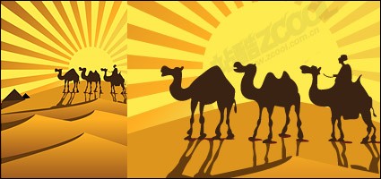 駱駝在沙漠上