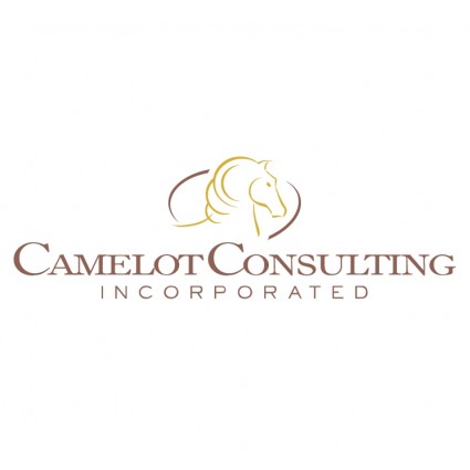 consultoria de Camelot