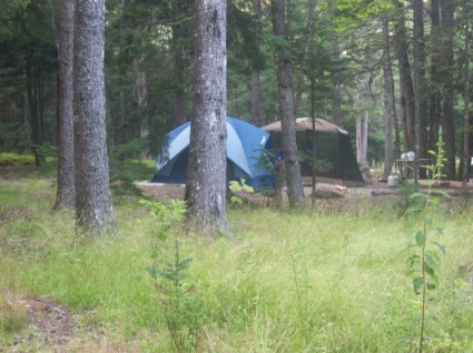 露營