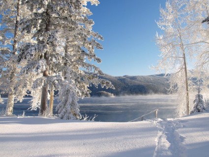 Canim Lake Winter Ice
