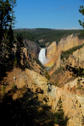 Canyon Waterfall Yellowstone
