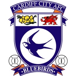 Cardiff city