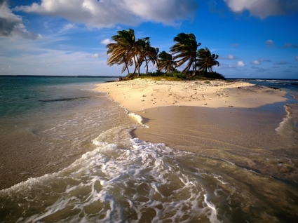 Caribbean Island Wallpaper Beaches Nature