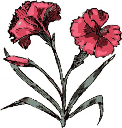 clip art de flor Clavel