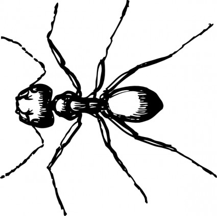 大工の蟻のクリップアート
