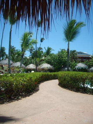 카리브해 도미니카 공화국 휴가